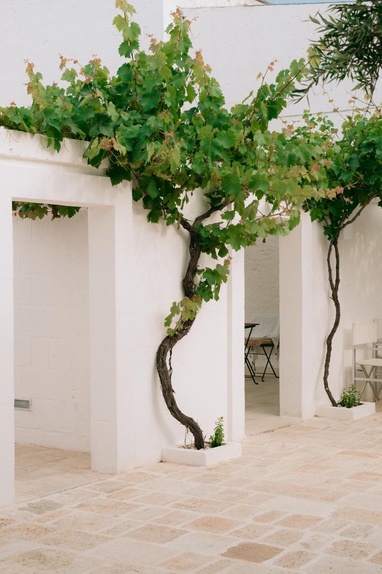 Oltre Gli Ulivi Bed & Breakfast Ostuni Exterior photo