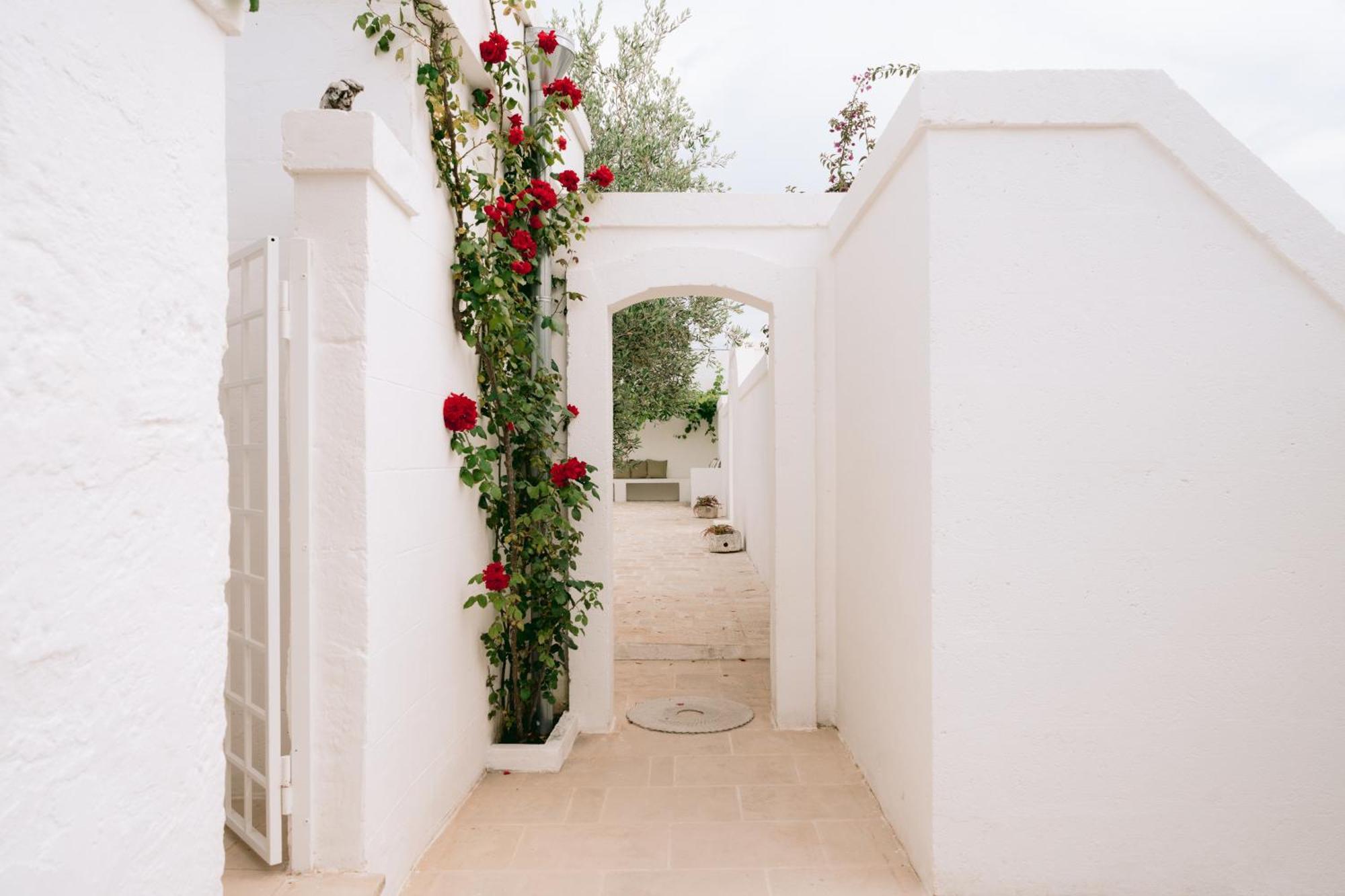 Oltre Gli Ulivi Bed & Breakfast Ostuni Exterior photo